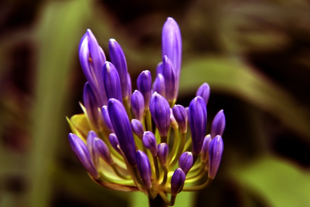 卡拉格痛批萨拉赫：可耻，自私，巨星特权不能这么搞