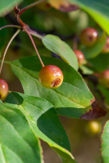 海牛祝贺重庆铜梁龙冲超：愿贵部在2026赛季中超中争创佳绩